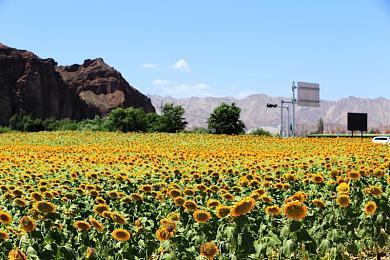 画面大缩水 《魔咒之地》首支预告和DEMO对比