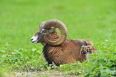 日媒评价《FF16》没有新鲜感 不能成为PS5代表作